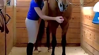 Multi Porn Videos 29